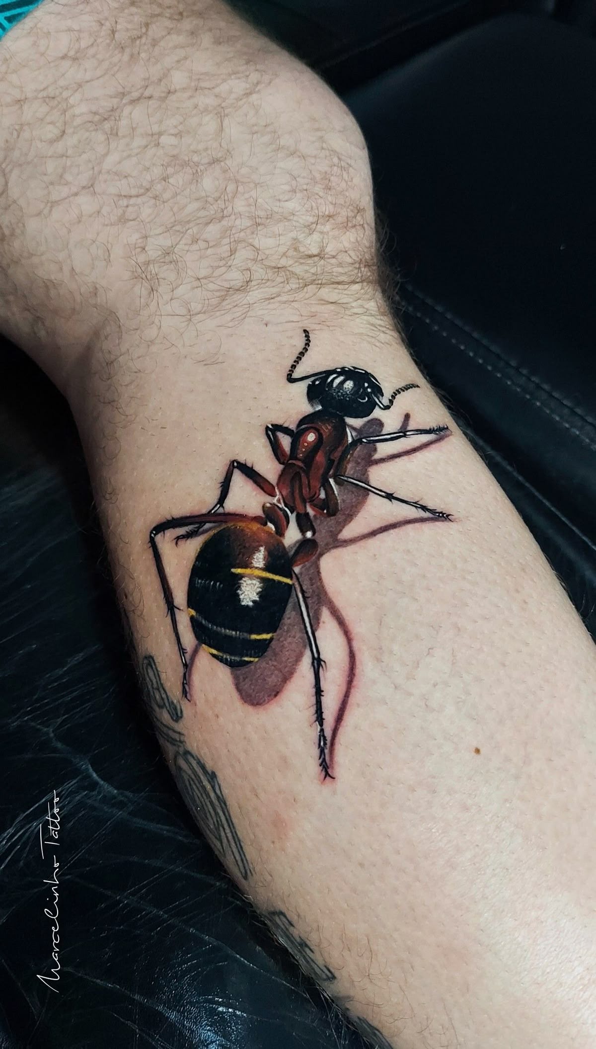 Hyperrealistic Ant Tattoo Tattoo Design