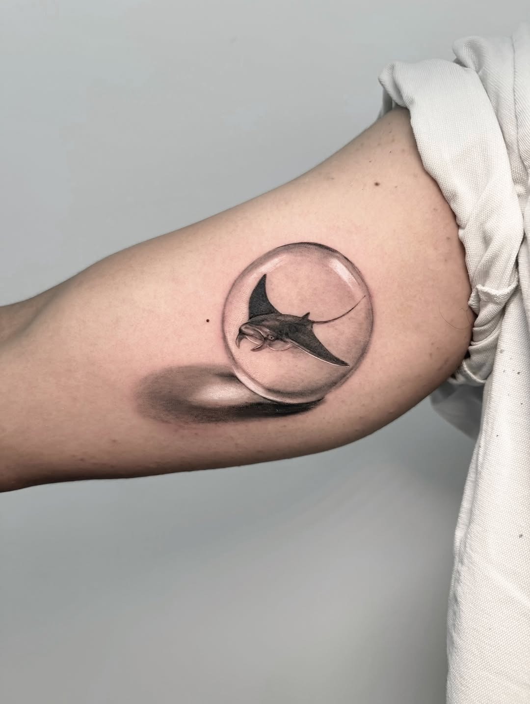 Elegant manta ray in a circular illusion Tattoo Design