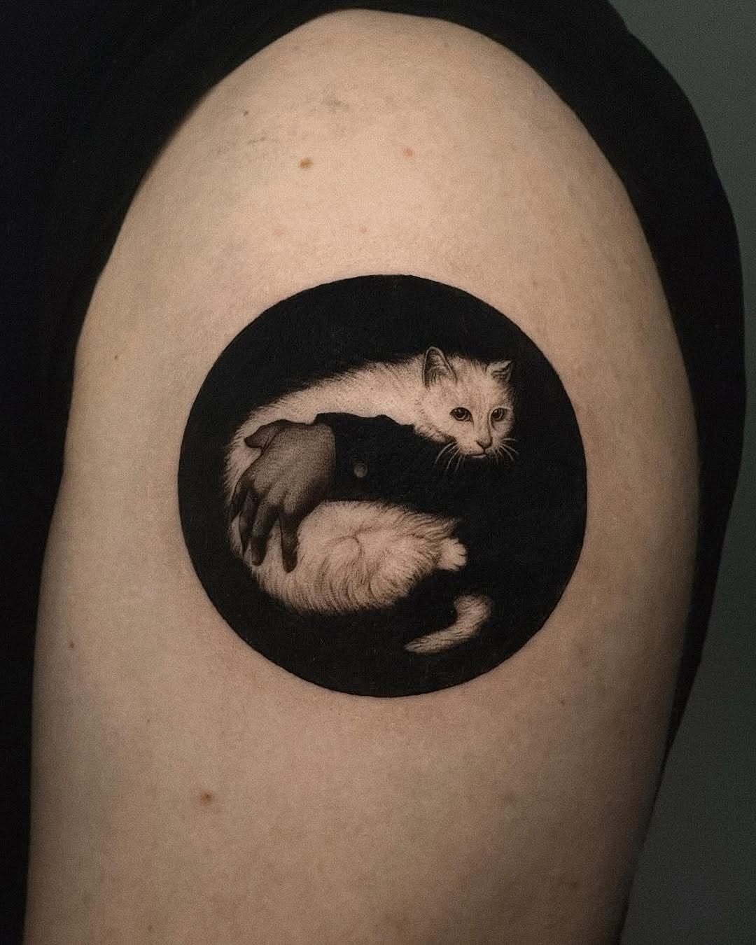 This tattoo features a serene white cat nestled within a circular black backdrop, exuding a sense of mystery and charm.