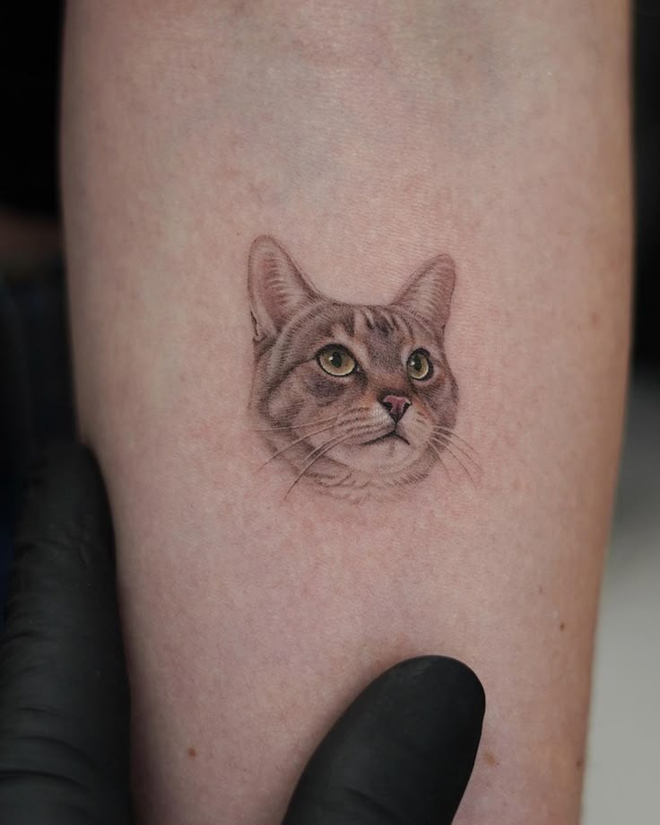 Kitten and Heart on Forearm Tattoo Design