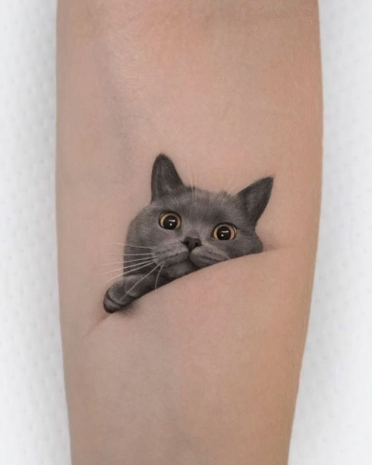 Peeking Tabby Realism Tattoo Tattoo Design