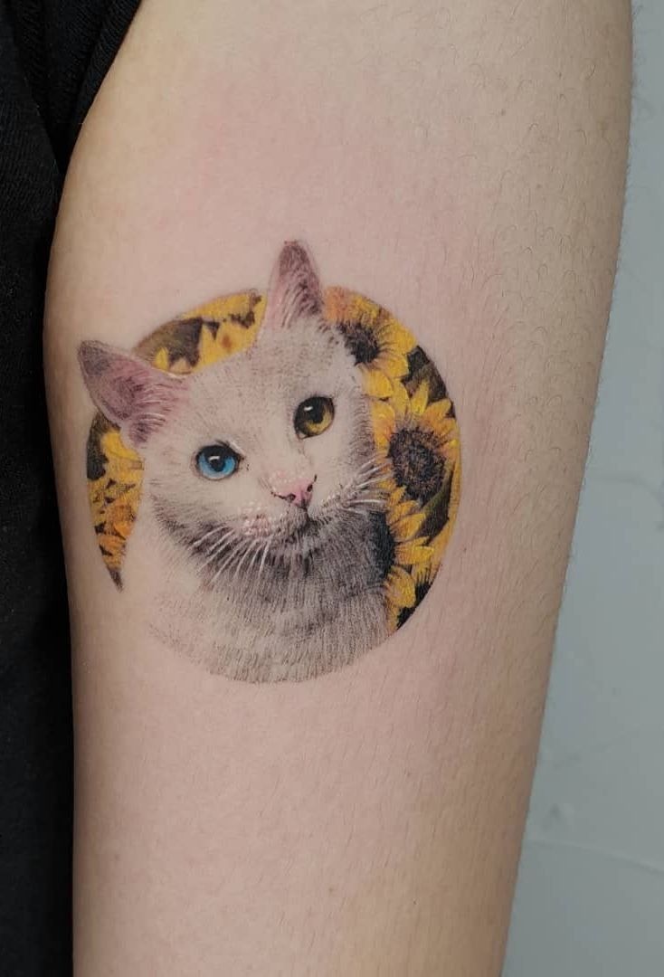 Sleepy Cat Curl Tattoo Tattoo Design