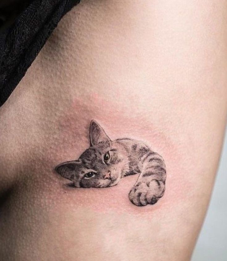Sleepy Tabby with a Soft Stare Tattoo Design