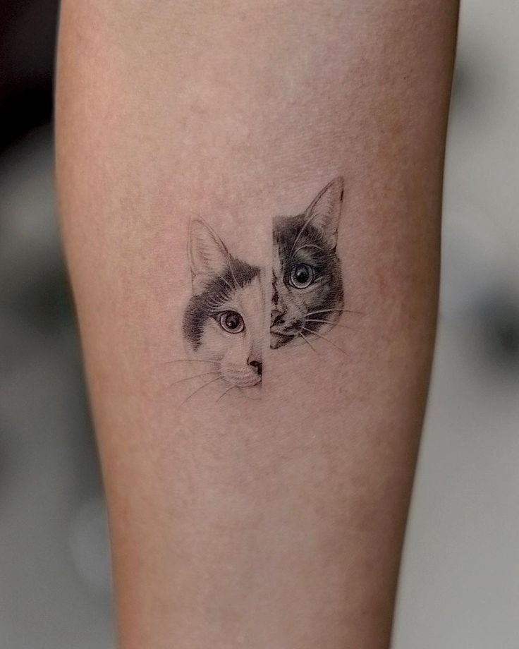 Split Cat Faces Portrait Tattoo Tattoo Design