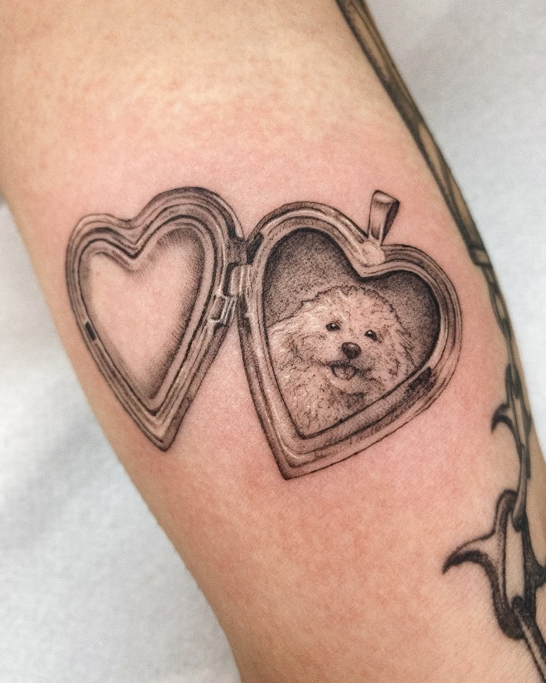 Adorable heart frame dog portrait tattoo design Tattoo Design