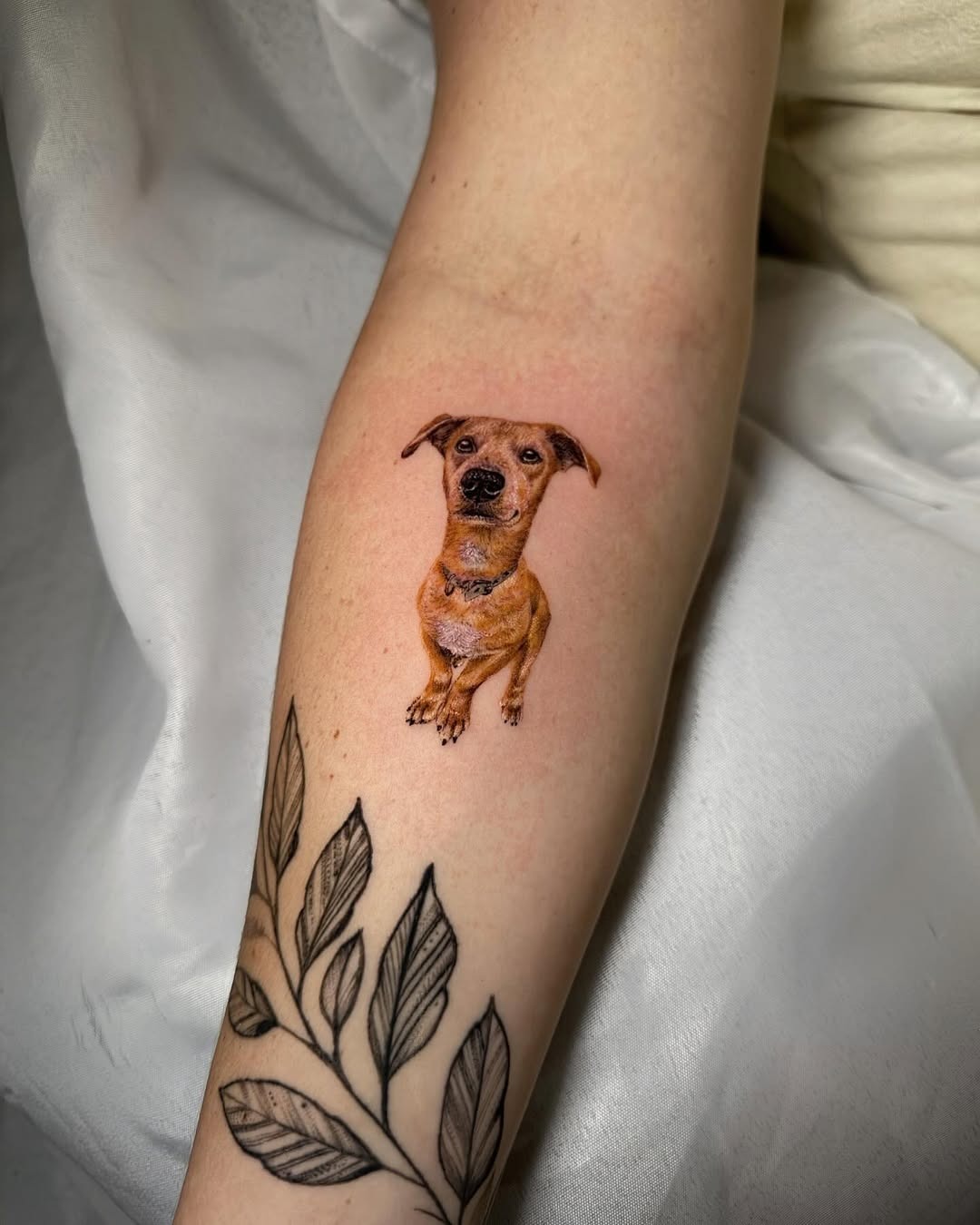 Charming brown dog tattoo on forearm Tattoo Design
