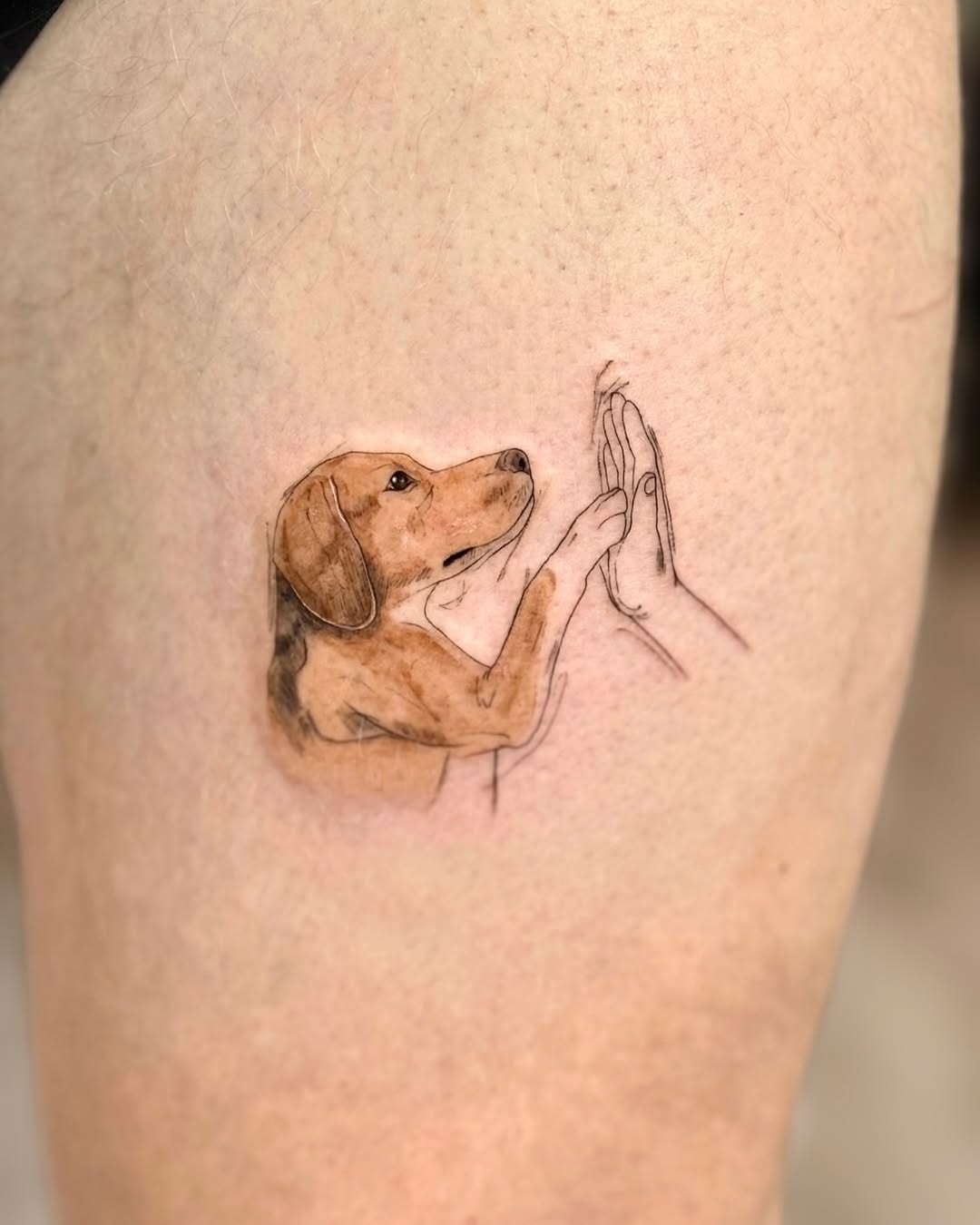 Heartwarming corgi tattoo showcasing playful spirit Tattoo Design