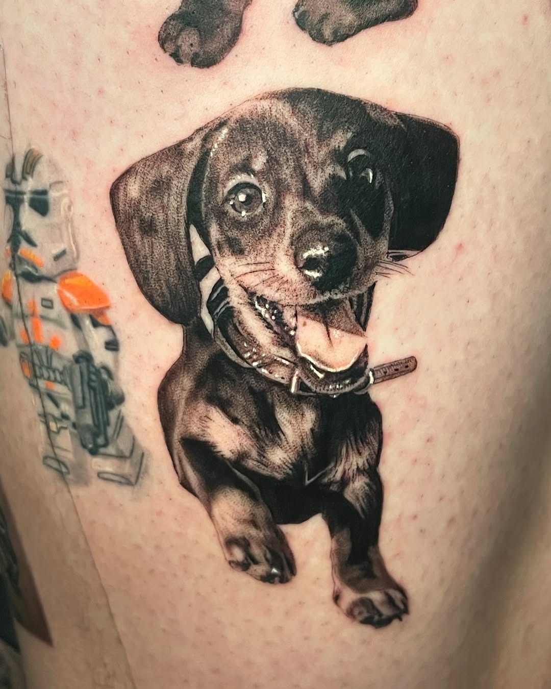 Realistic Dog Portrait Tattoo on Forearm Tattoo Design