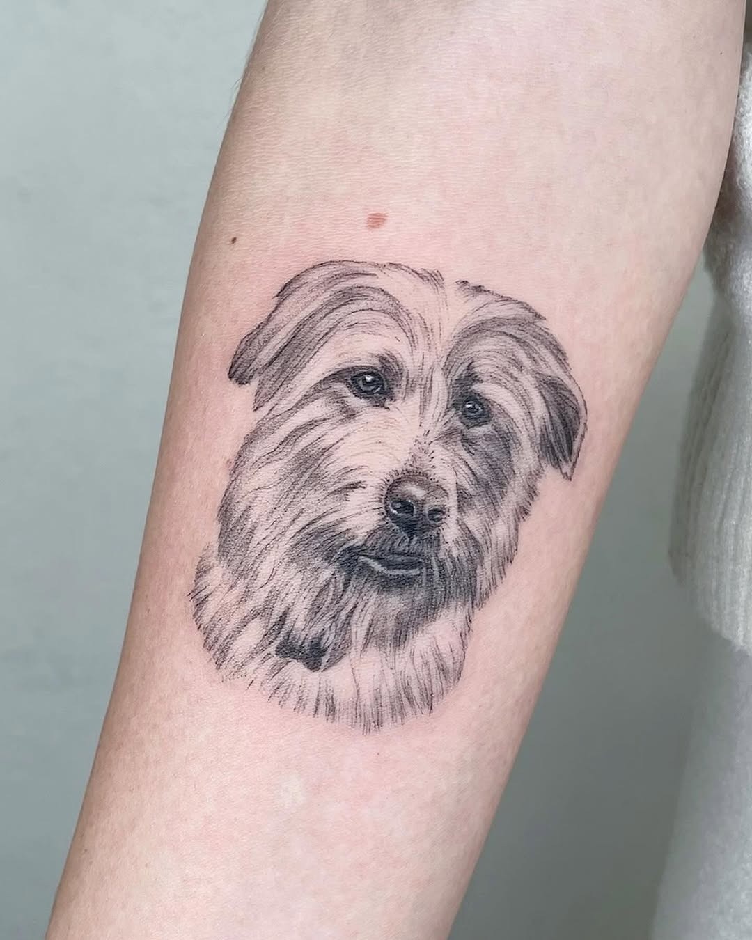 Stunning black and gray dog portrait tattoo Tattoo Design