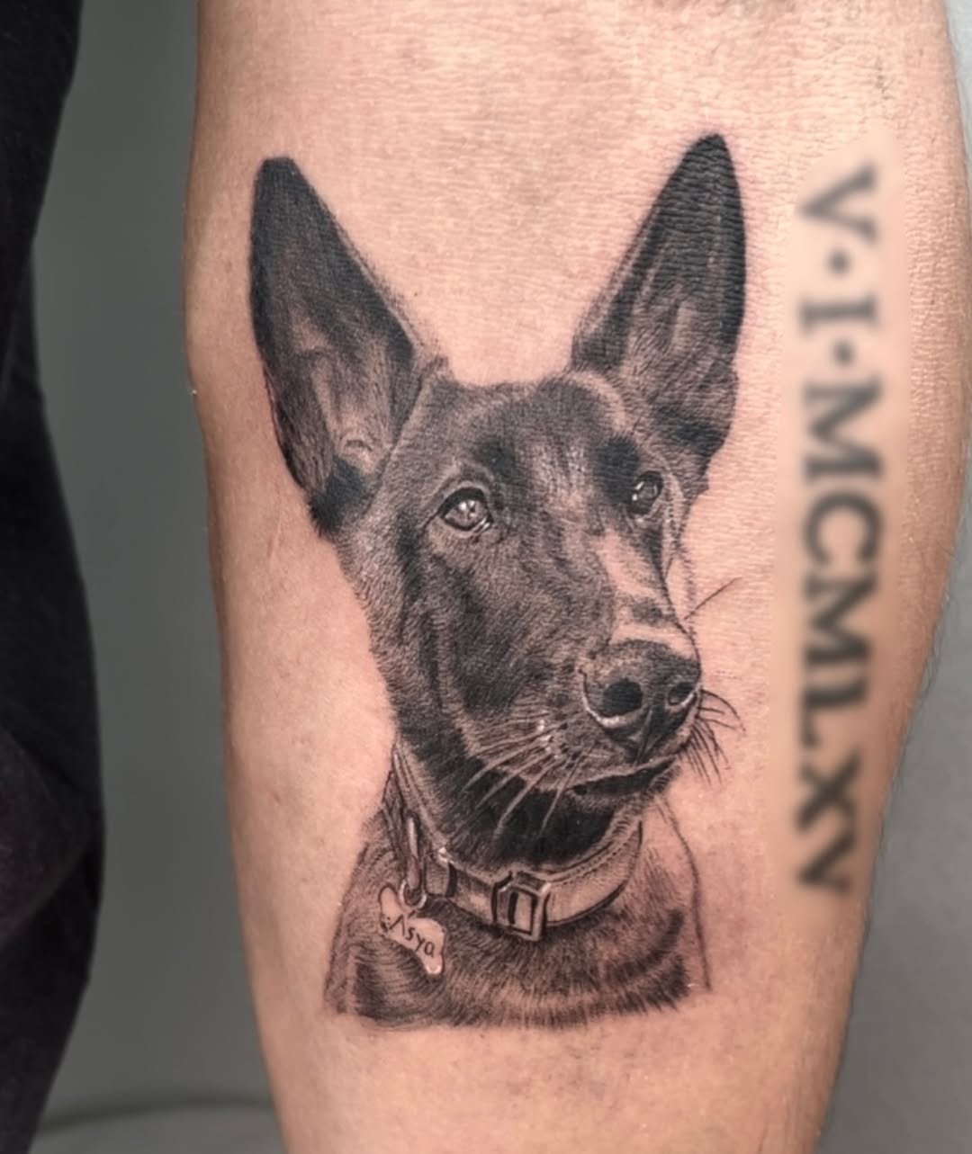 Stunning black and grey dog portrait tattoo Tattoo Design