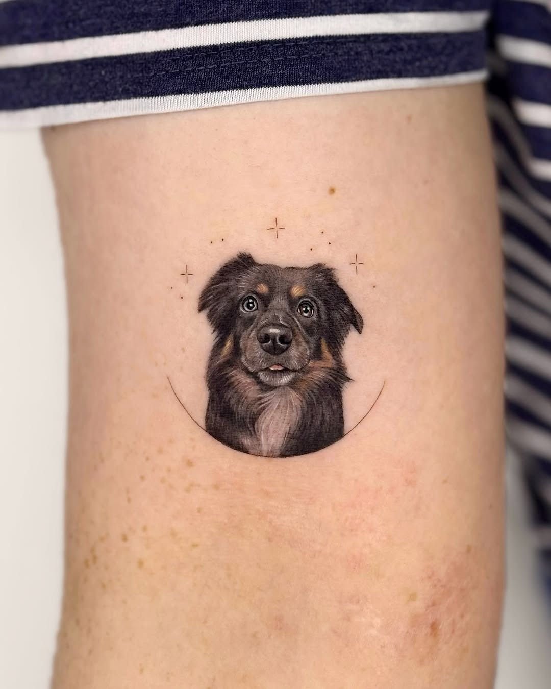 Stunning Dog Portrait Tattoo on Inner Arm Tattoo Design