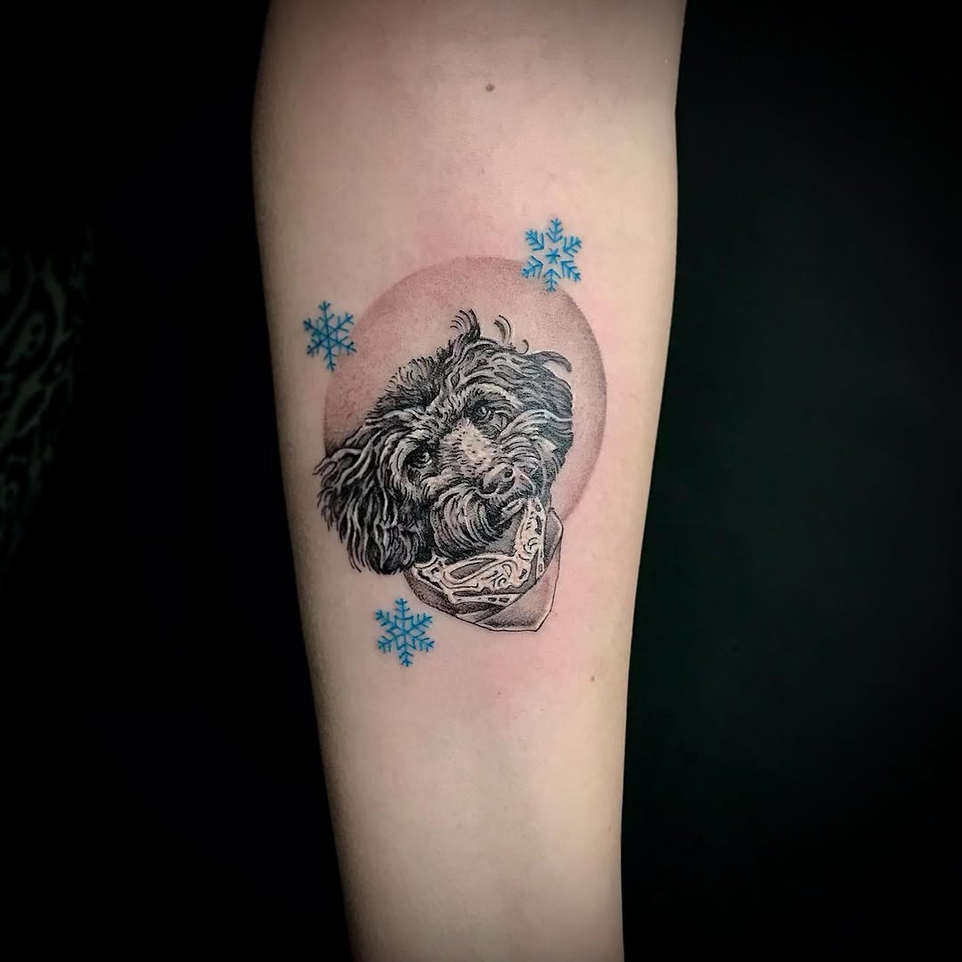 Stylish poodle tattoo with winter accents Tattoo Design