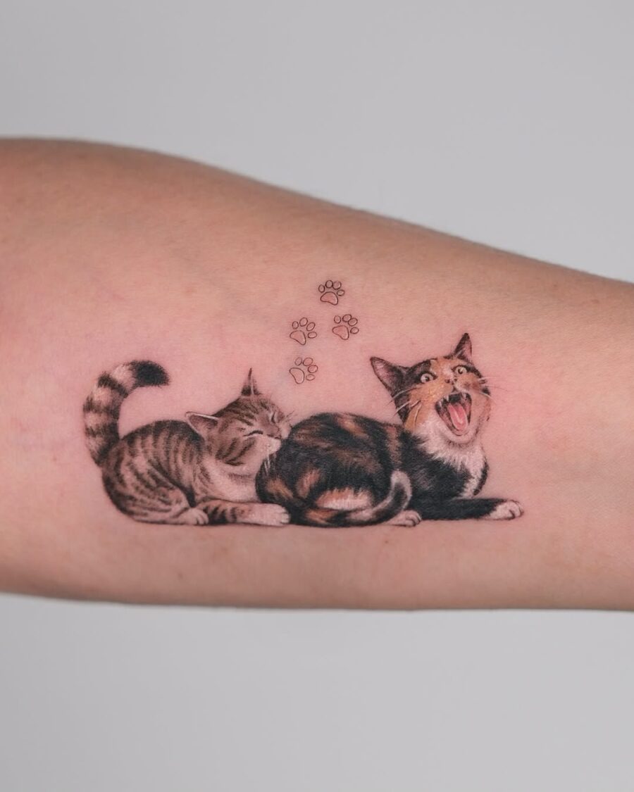 This image features two adorable cats in a cozy embrace, capturing their playful essence beautifully.