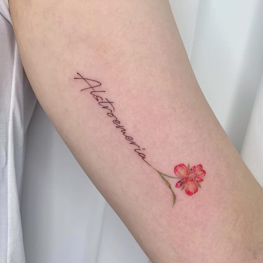 Elegant alstroemeria tattoo with flowing script Tattoo Design