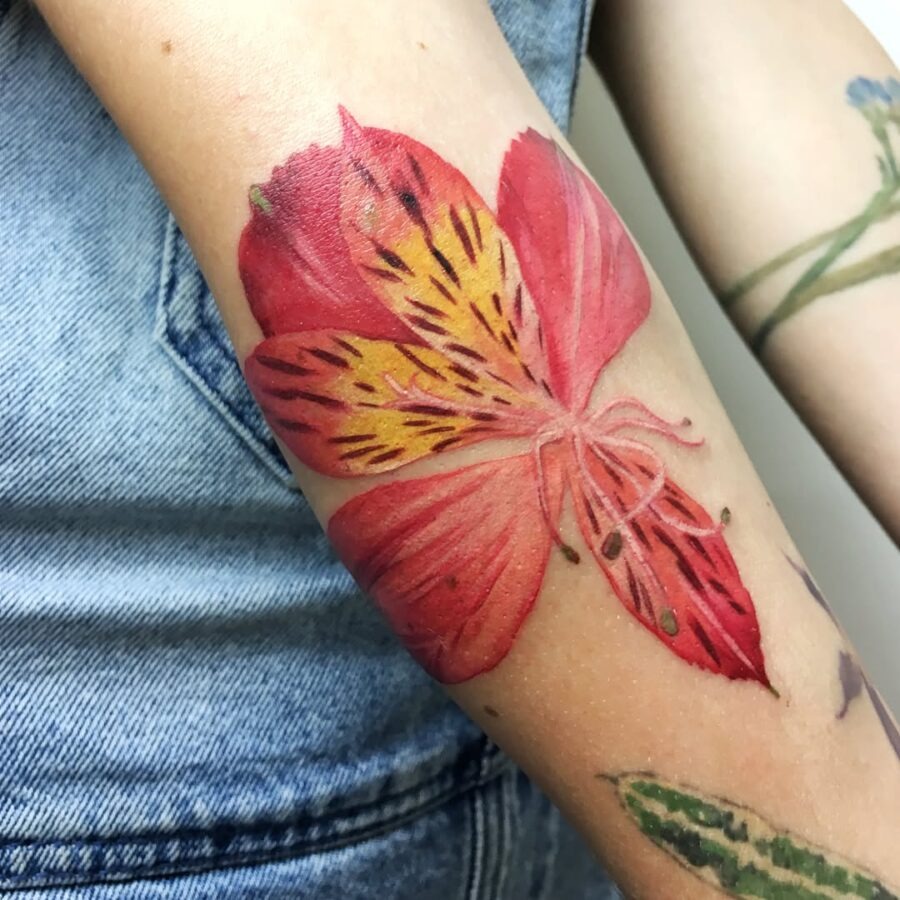 Vibrant alstroemeria blooms on forearm tattoo Tattoo Design