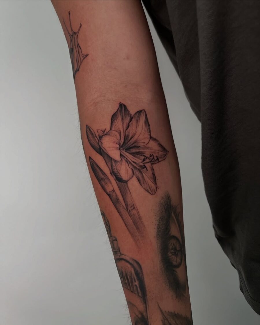 Elegant amaryllis tattoo enhancing the forearm. Tattoo Design