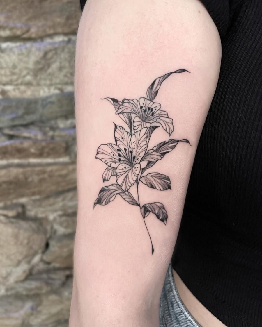 Elegant Amaryllis Tattoo in Black Ink Design Tattoo Design