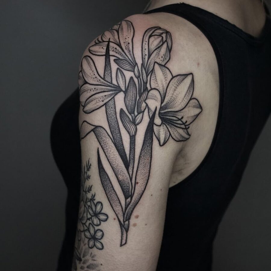 Elegant amaryllis tattoo with intricate line work Tattoo Design