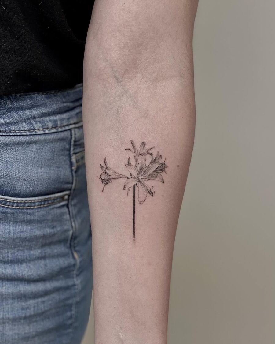 Elegant black ink amaryllis tattoo design Tattoo Design
