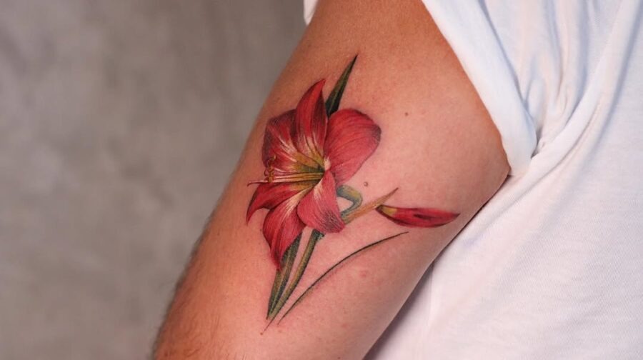 Vibrant amaryllis flower tattoo on arm Tattoo Design