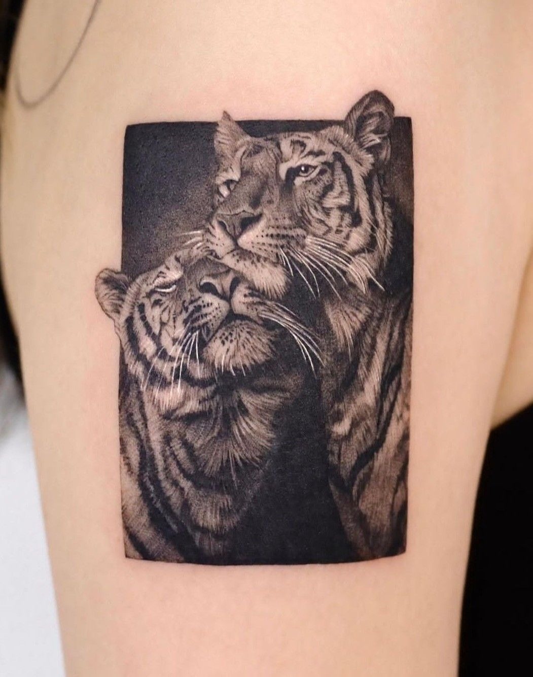 Astronaut Riding a Giraffe Tattoo Tattoo Design