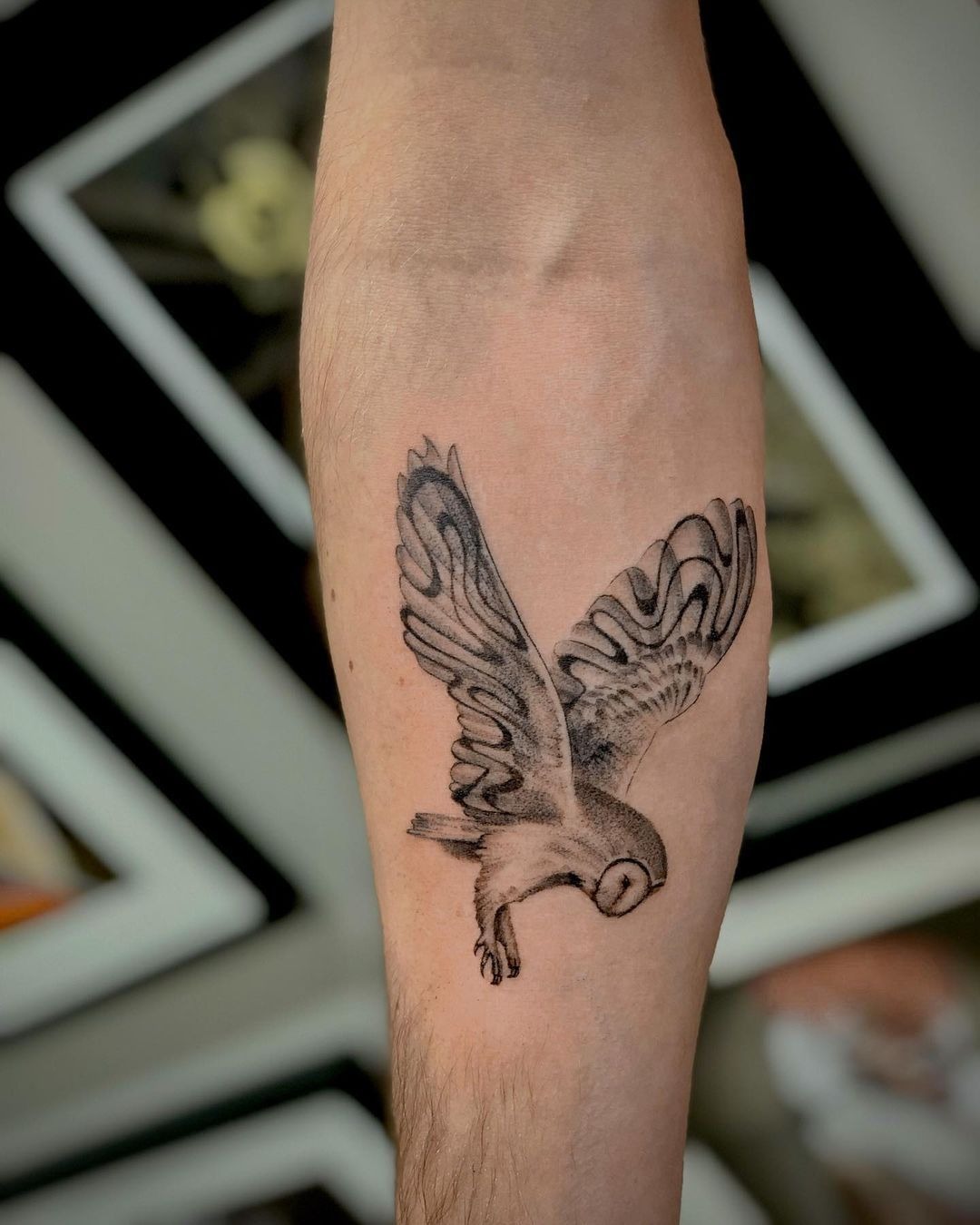 Soft Winged Owl Tattoo Tattoo Design