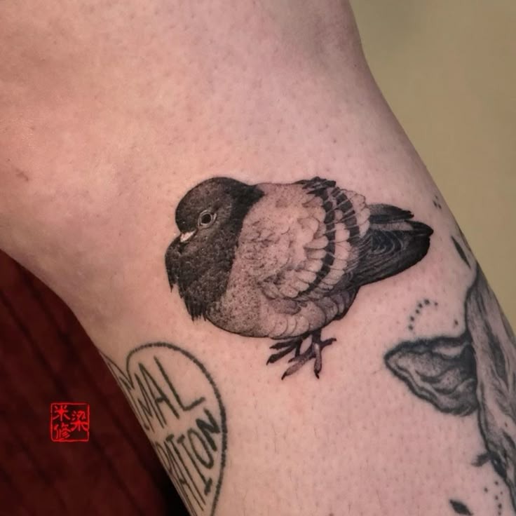 Tiny Pigeon Tattoo Tattoo Design