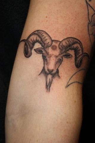 Realistic Ram Head on Arm Tattoo Design