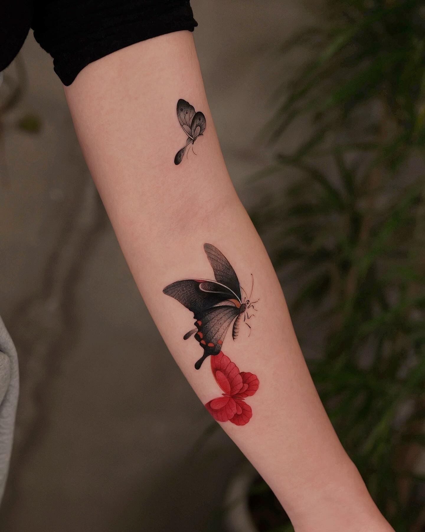 Black and Red Butterfly Tattoo Tattoo Design