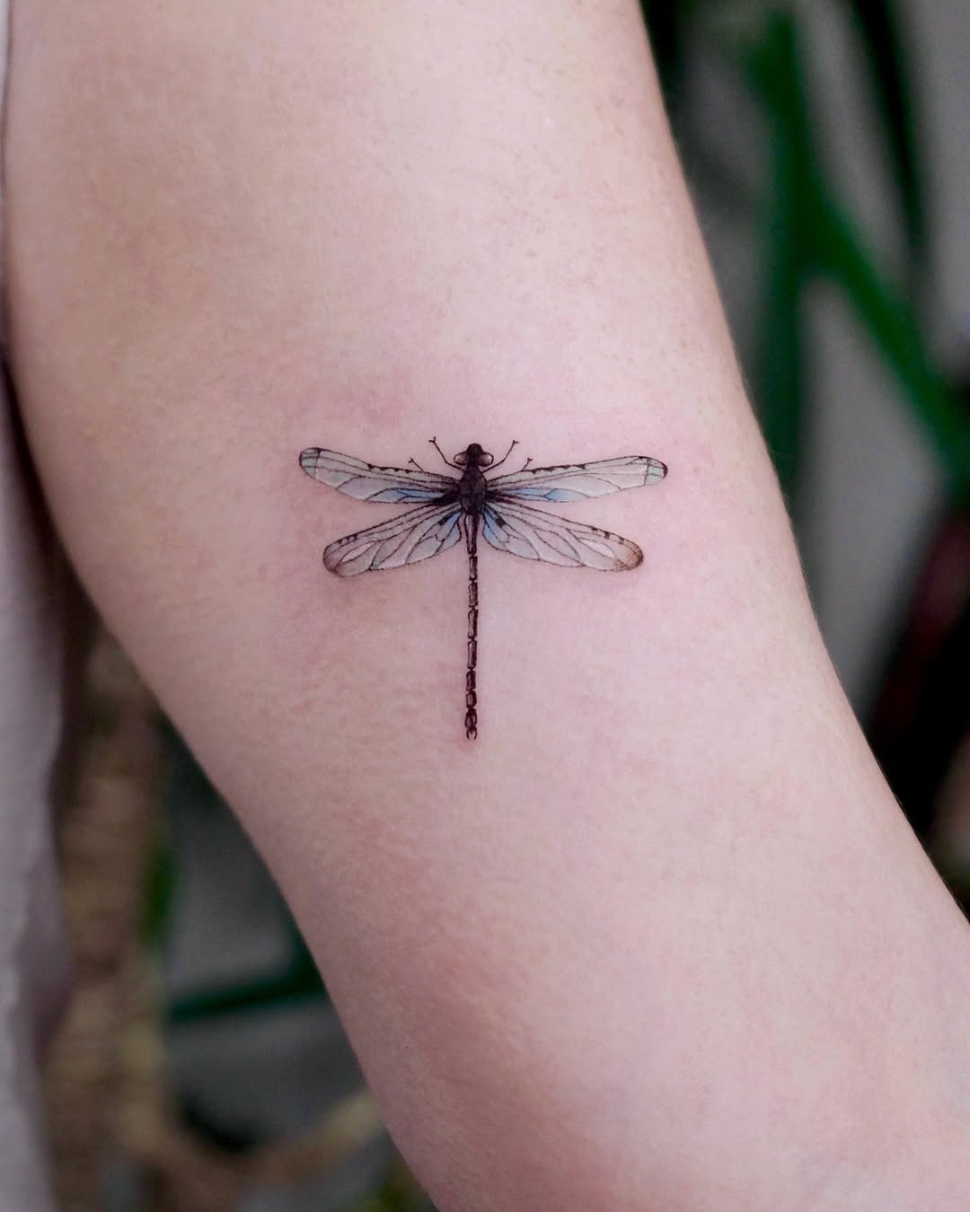 Stunning Dragonfly Tattoo on Smooth Skin Tattoo Design