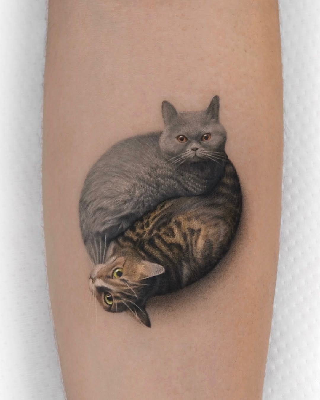 Whimsical Portrait of Two Cats Embraced Tattoo Design