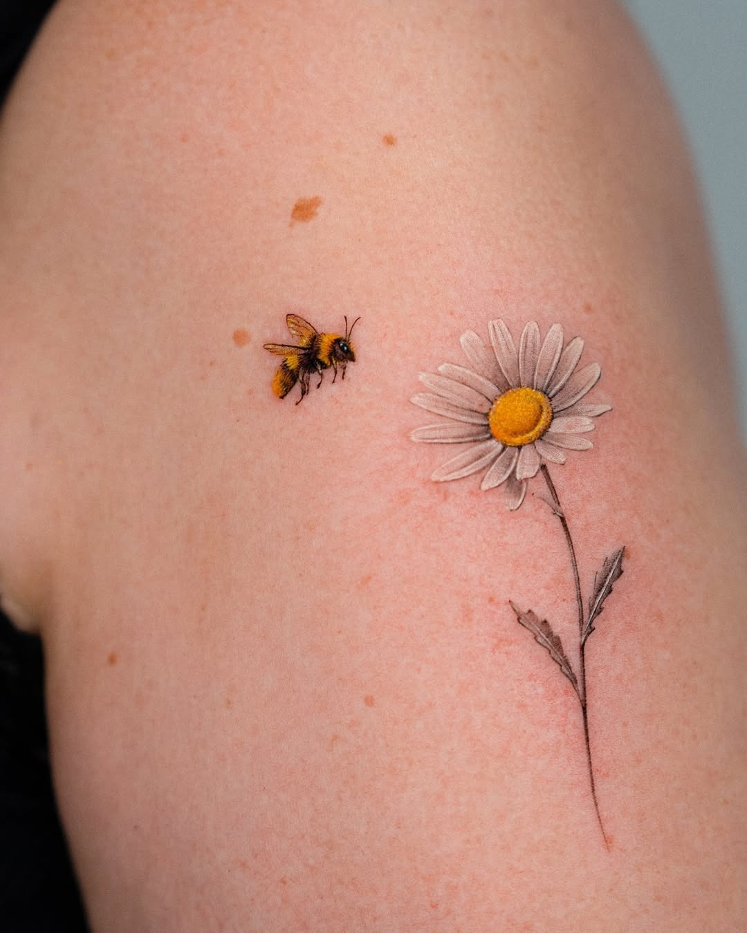Delicate bee paired with a beautiful daisy Tattoo Design