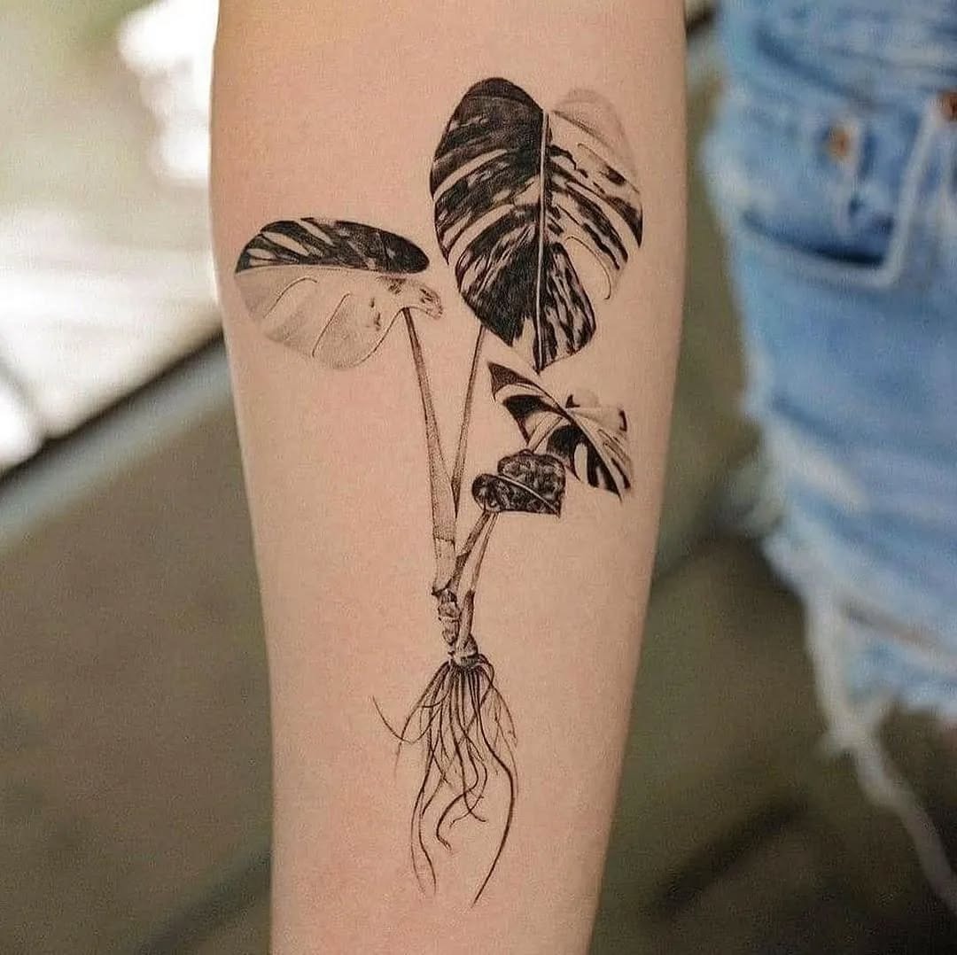 Delicate Begonia Tattoo Perfect for Plant Lovers Tattoo Design