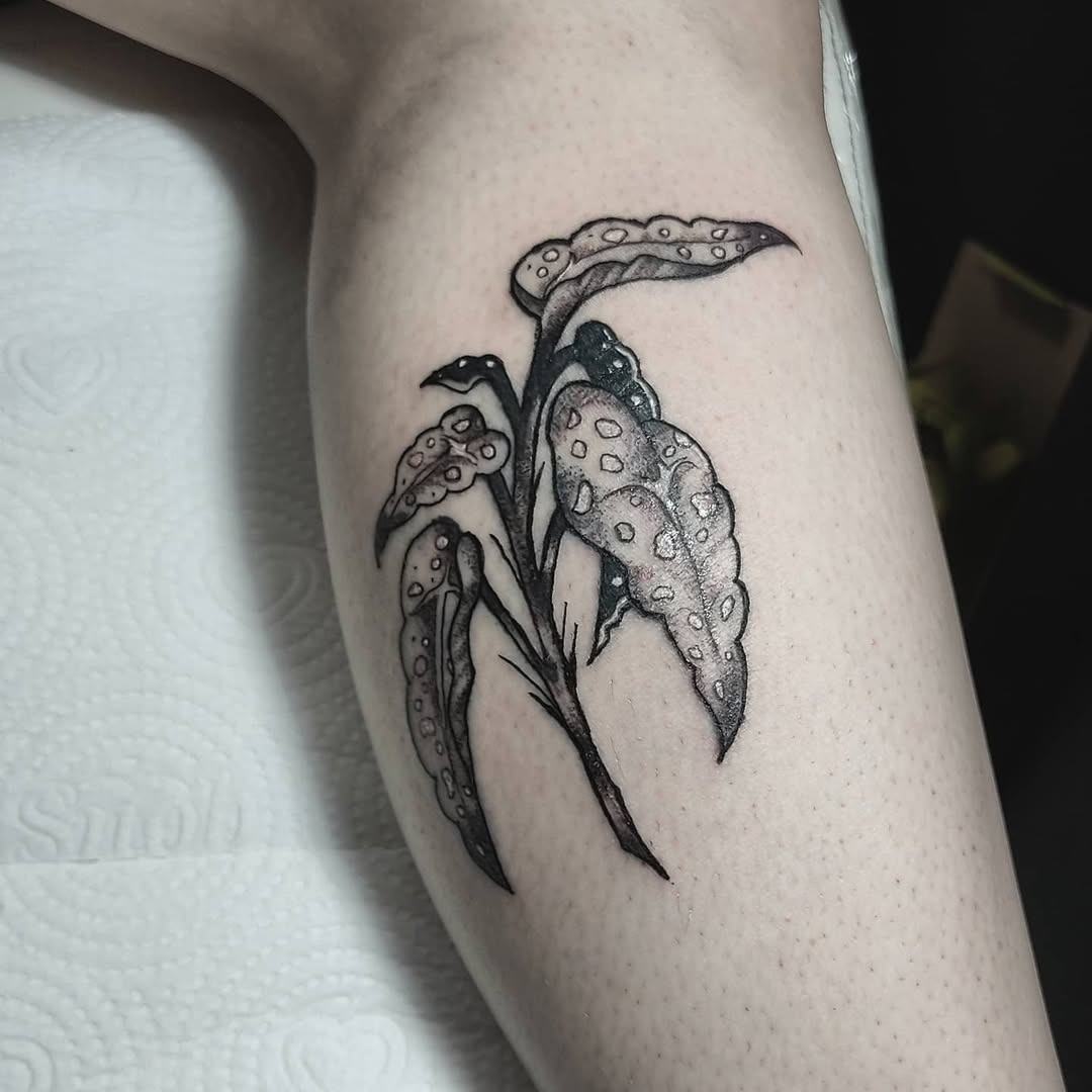 Delicate begonia tattoo with intricate shading details Tattoo Design