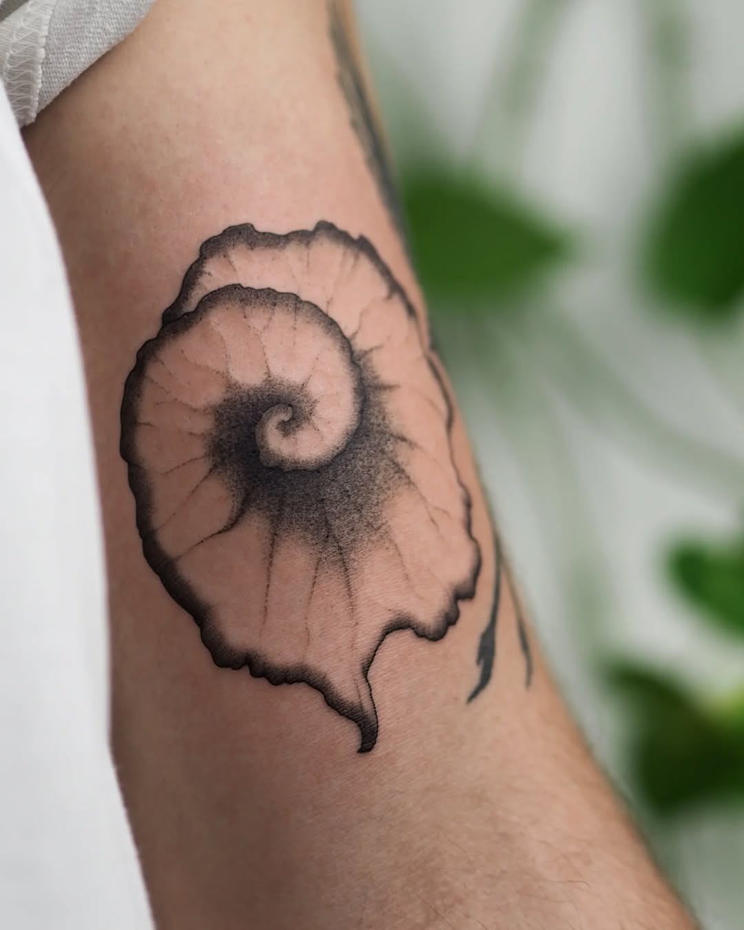 Elegant begonia tattoo capturing nature's essence Tattoo Design