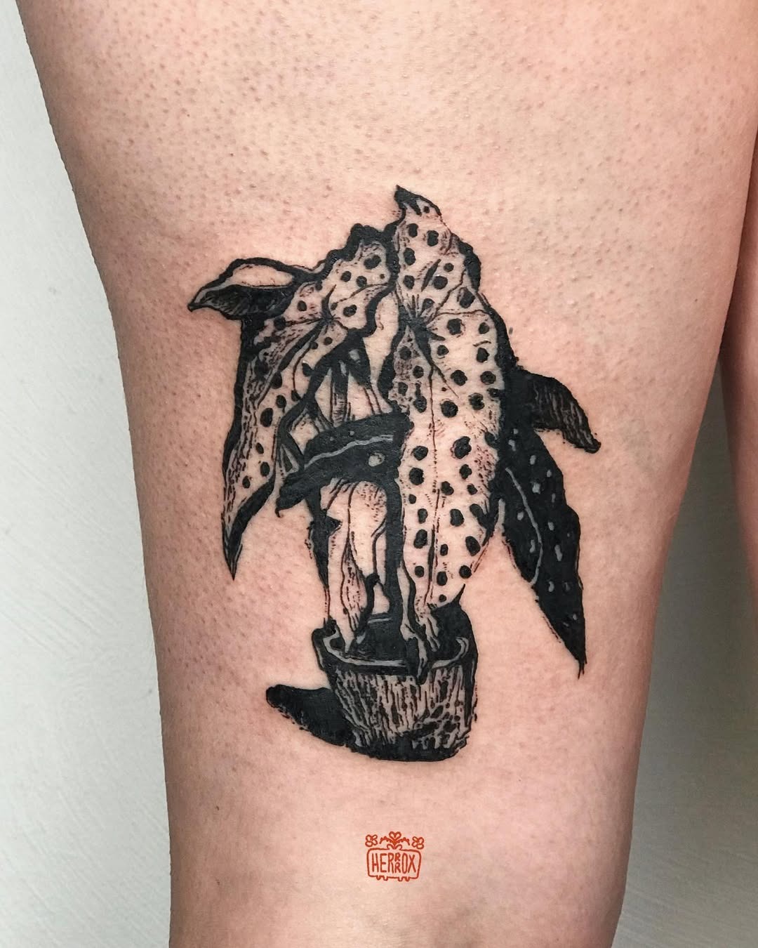 Elegant begonia tattoo in glass bottle Tattoo Design