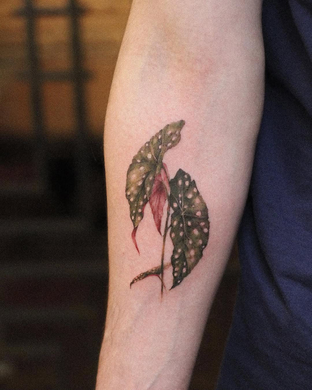 Elegant Begonia Tattoo on Forearm Tattoo Design