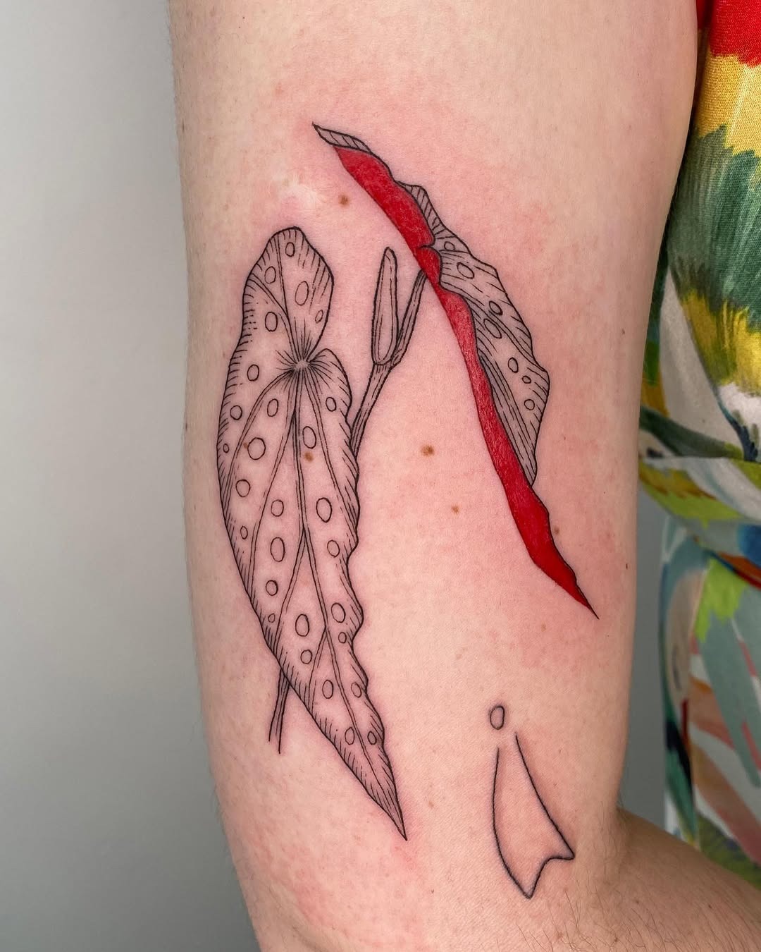 Elegant Begonia Tattoo with Unique Red Ink Tattoo Design