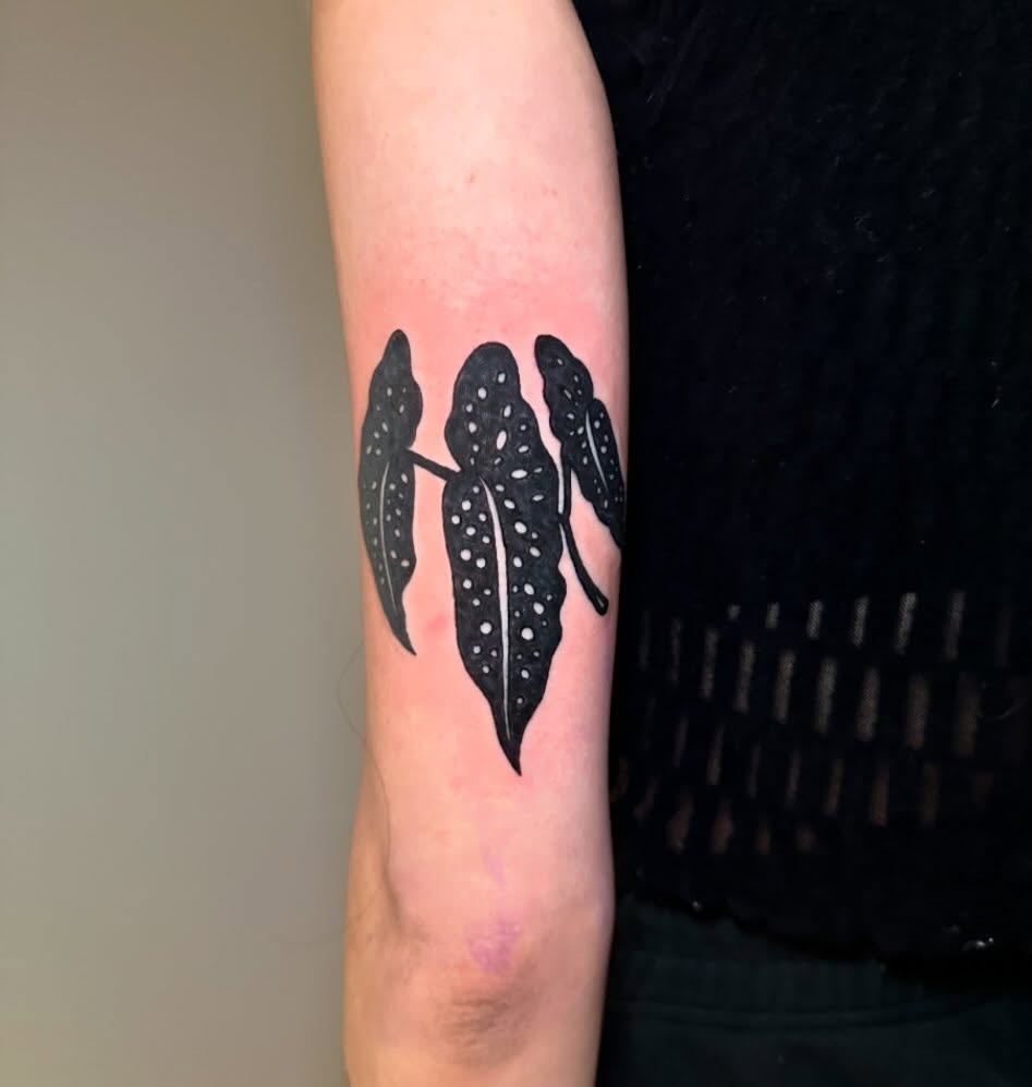 Elegant black begonia leaves tattoo on skin Tattoo Design