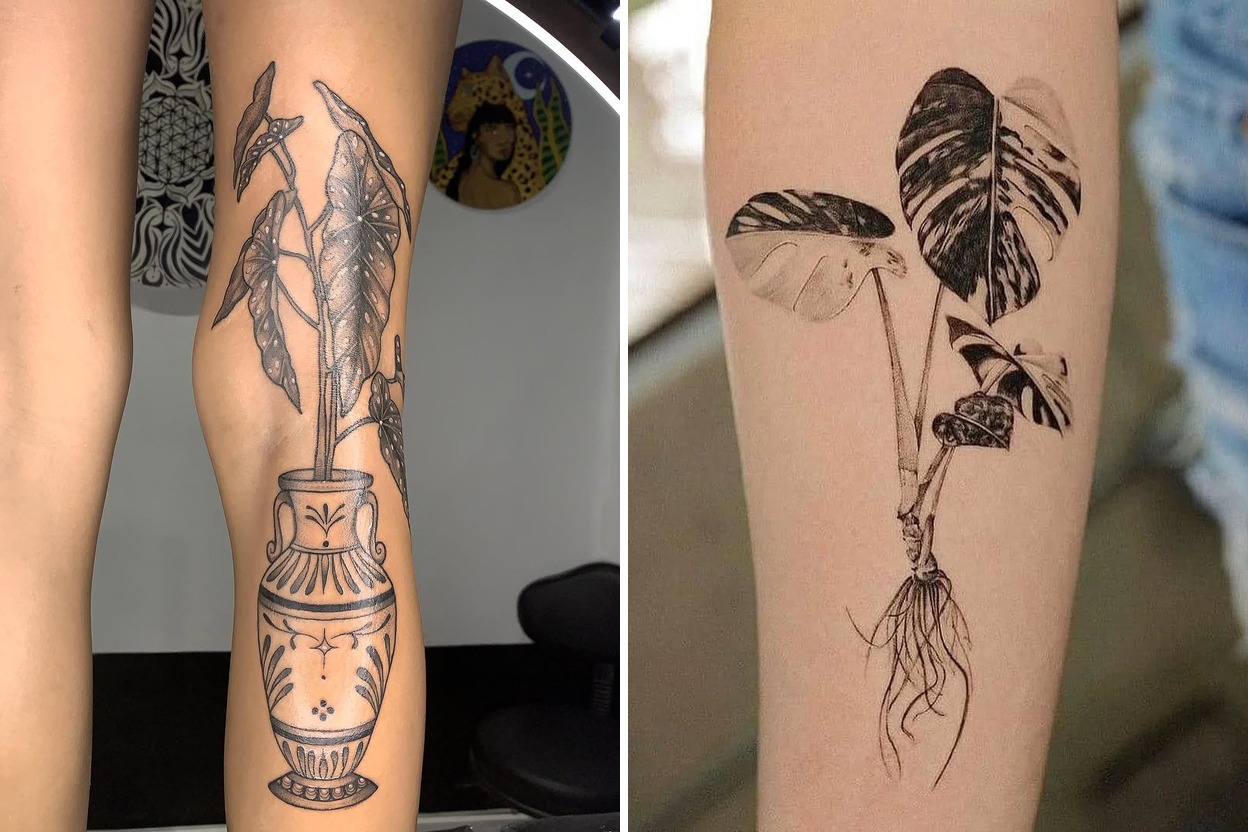 35+ Begonia Tattoo Ideas & Inspiration Featured Lookbook Collage