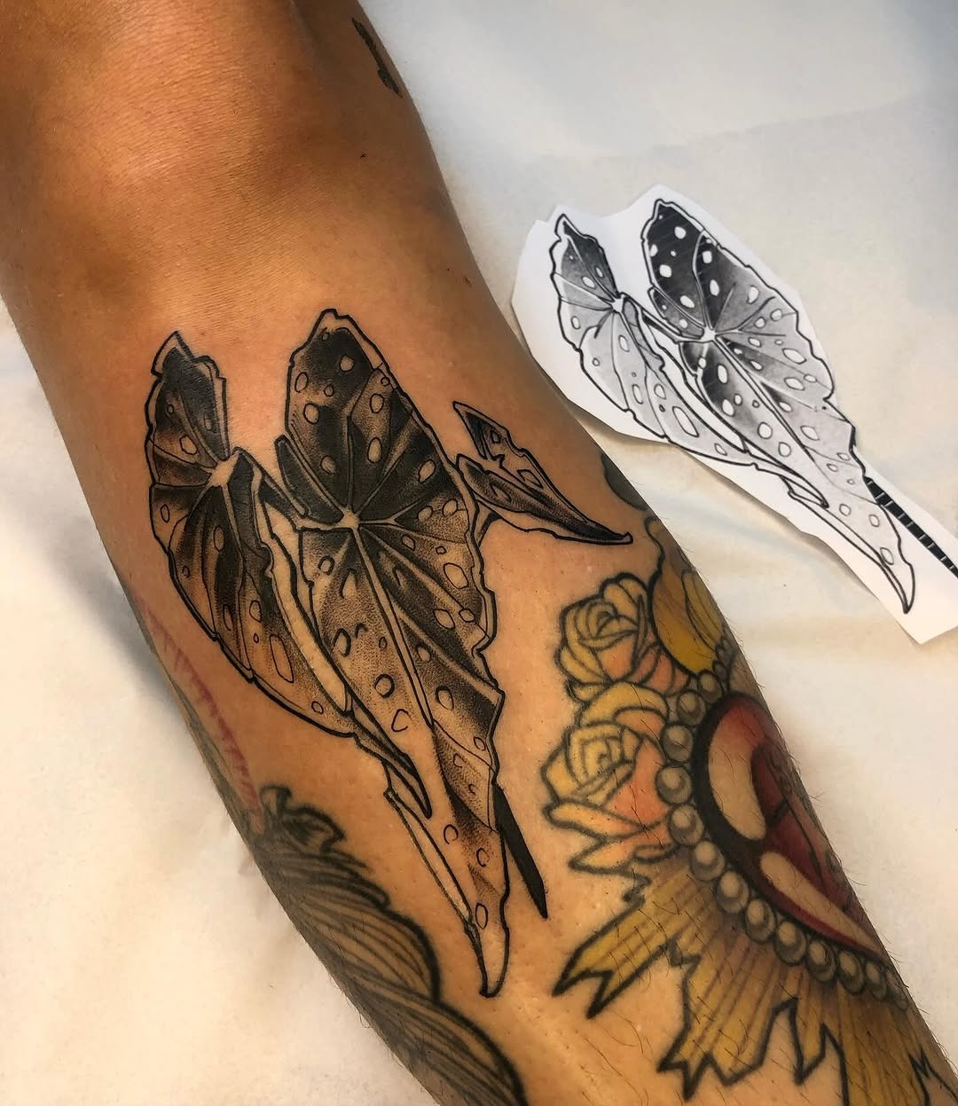 Intricate Begonia Tattoo Design with Shadows Tattoo Design