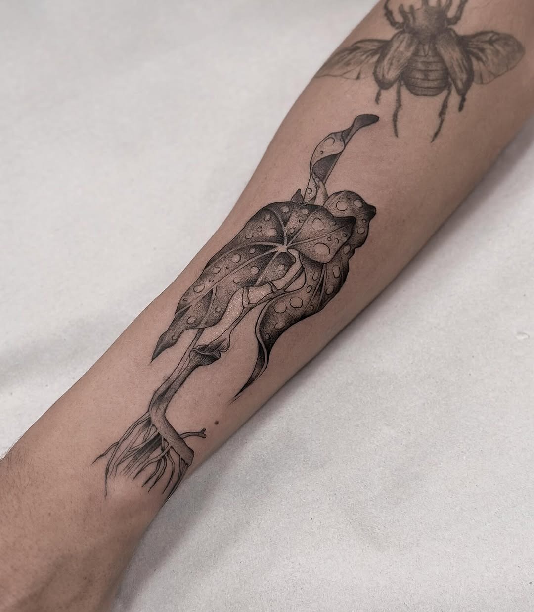 Intricate Begonia Tattoo with a Unique Twist Tattoo Design