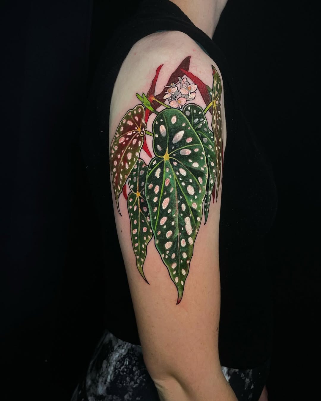 Stunning begonia tattoo with vibrant colors Tattoo Design