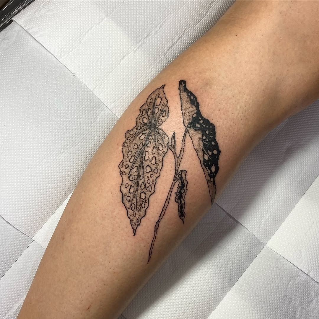 Stylish Black Line Art Begonia Tattoo Tattoo Design