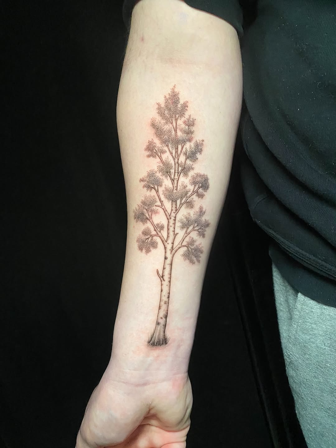This tattoo showcases a beautifully detailed birch tree, capturing its intricate bark patterns and delicate leaves.
