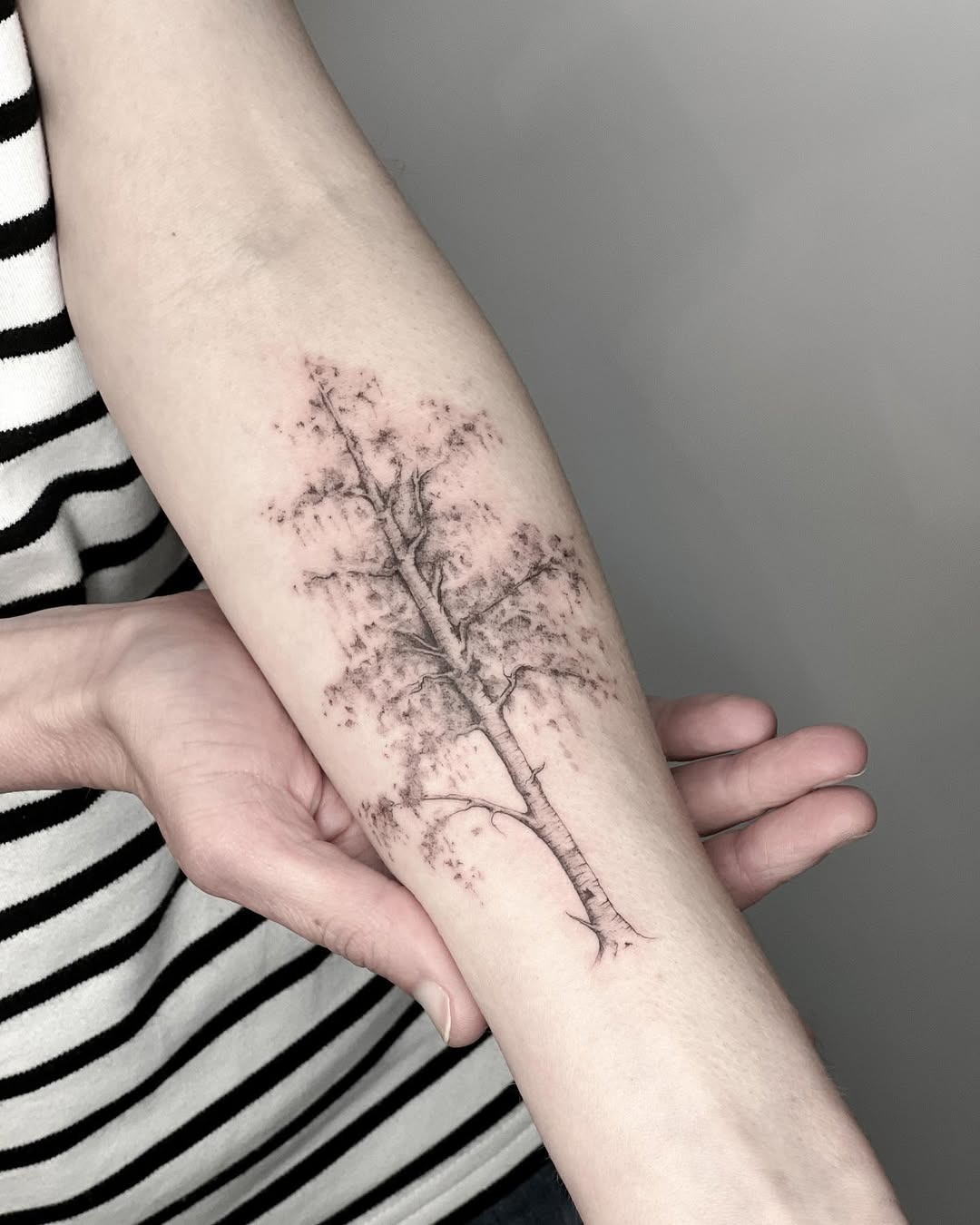 This birch tree tattoo showcases delicate lines and soft shading, embodying the tranquility of nature.