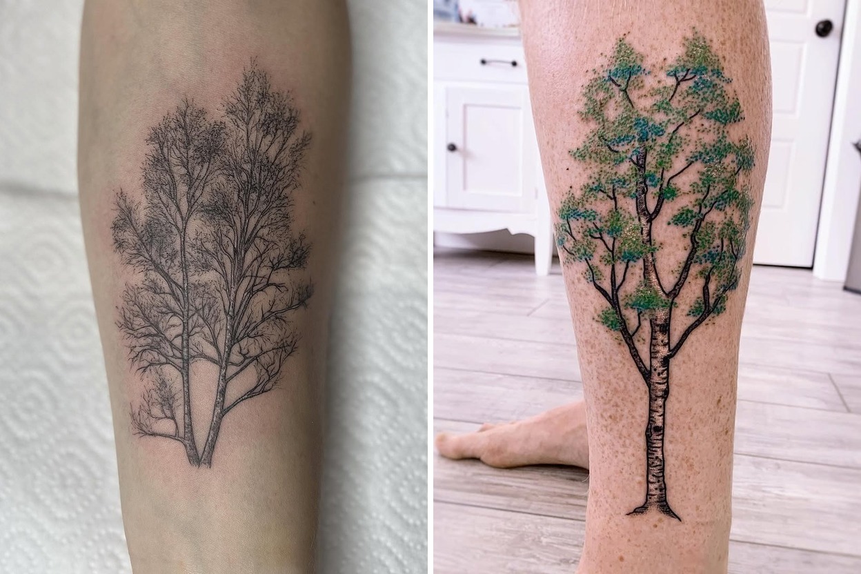 24+ Birch Tree Tattoo Ideas That Stand Out with Effortless Elegance Featured Lookbook Collage