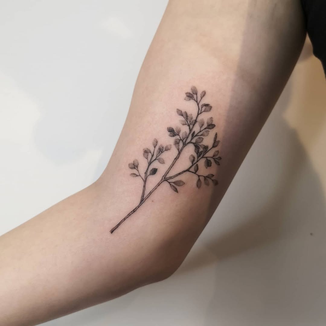 This tattoo features a delicate birch tree branch with subtle details.