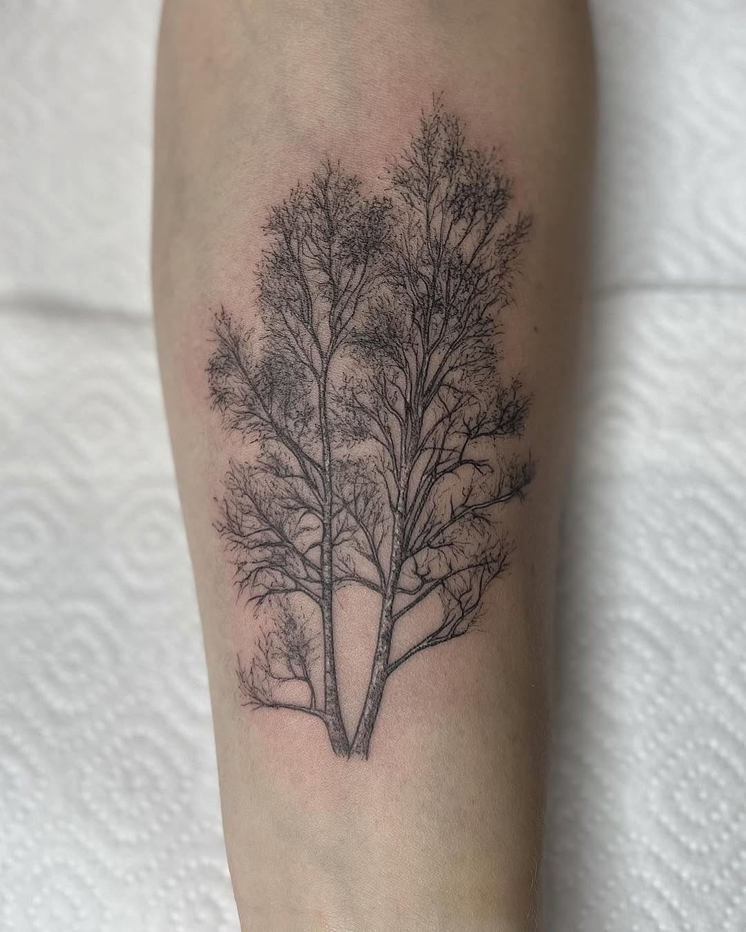 This birch tree tattoo features detailed branches and a delicate silhouette.