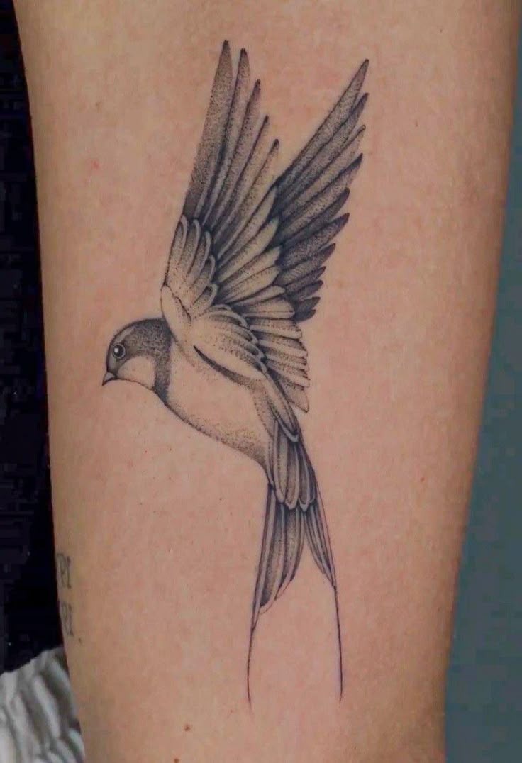 Neo Traditional Swallow Tattoo Tattoo Design
